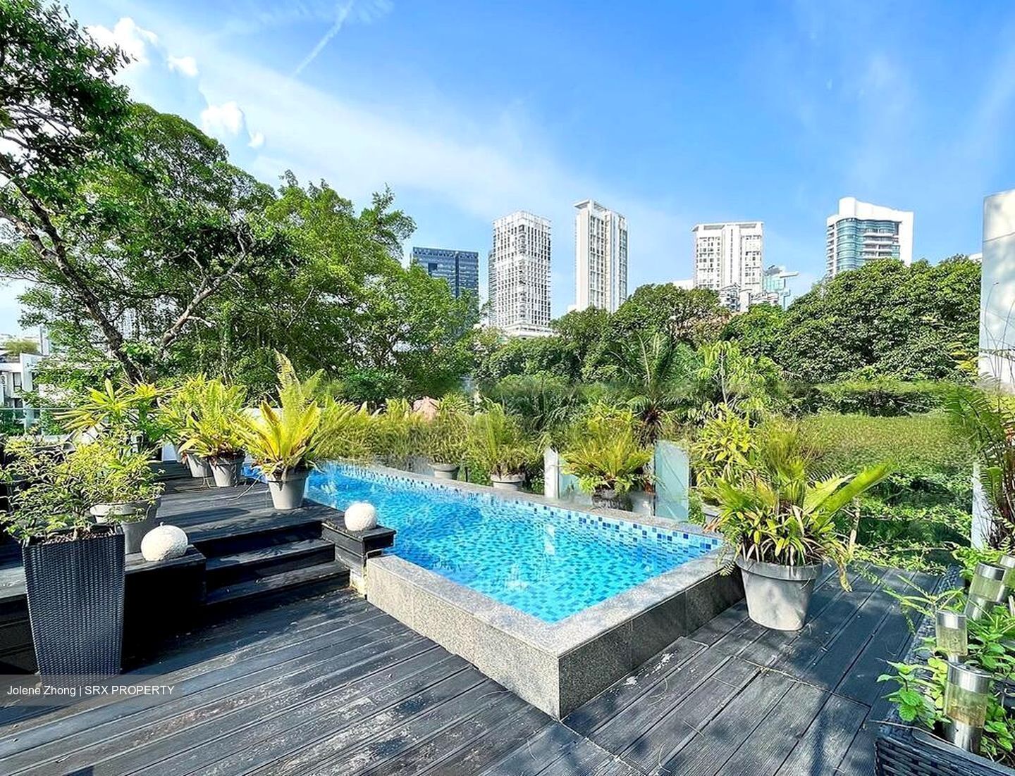 Beaufort On Nassim (D10), Condominium #466830631